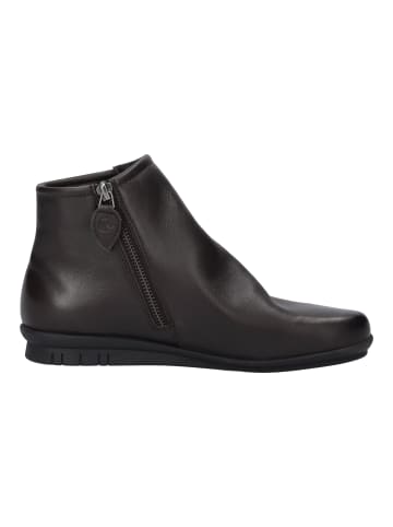 Josef Seibel Stiefelette Violet 01 in braun