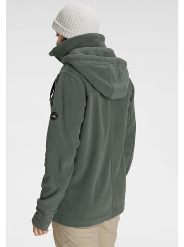 Polarino Fleecejacke in salbeigrün