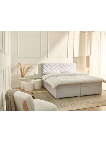 Beliani Boxspring Bett ESQUIRE in Weiß/Braun - (W) 186 x (H) 114 x (L) 211 cm
