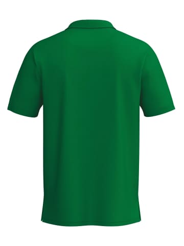 erima Herren Poloshirt in smaragd