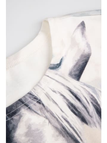 Coccodrillo T-Shirt mit kurzen Ärmeln in bunt