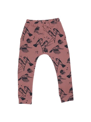 Walkiddy Jogginghose Jogginghose aus Baumwolle (Bio)