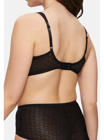 Triumph Minimizer-BH Signature Sheer in Schwarz