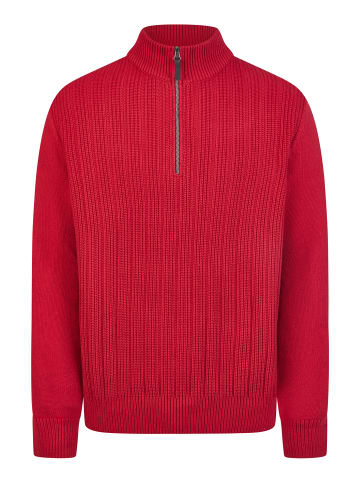Pierre Cardin Pullover in Scarlet Sage