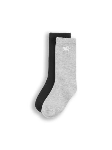 Coccodrillo Socken in bunt