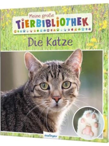 Esslinger Buch - Meine große Tierbibliothek: Die Katze