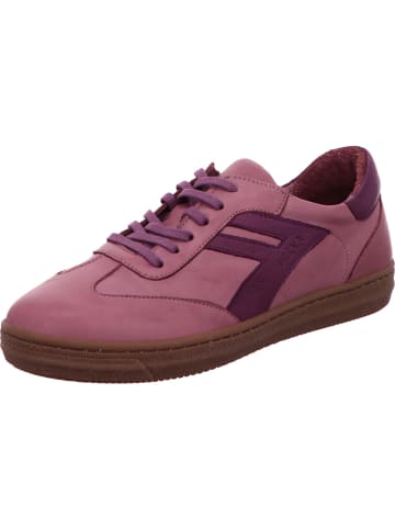 Andrea Conti Sneaker in rose