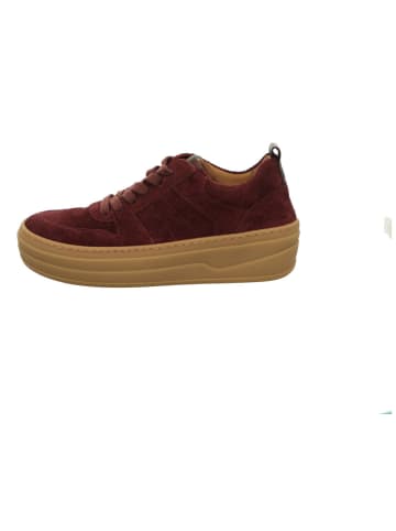 Gabor Schnürschuhe in bordo
