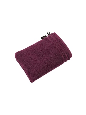 Vossen 6er Pack Waschhandschuh in grape