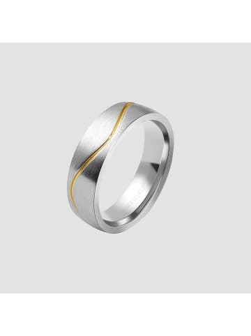 Adeliás Herren Ring aus Edelstahl in silber