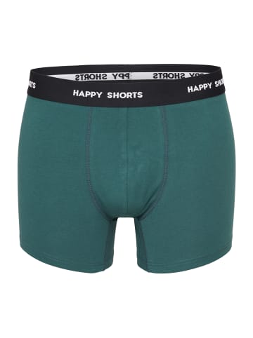 Happy Shorts Retro Pants Jersey in Green Leaves Green