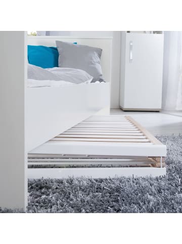 roba Fold Up Klappbett 60 x 120 cm – platzsparendes Gitterbett aus Holz - Bicolor