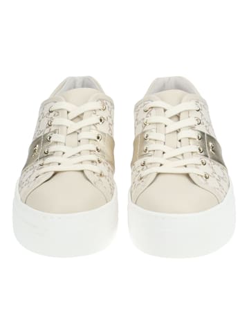 Nero Giardini Sneaker in Beige/Gold