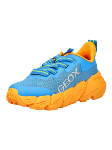 Geox Sneaker in Blau/Orange