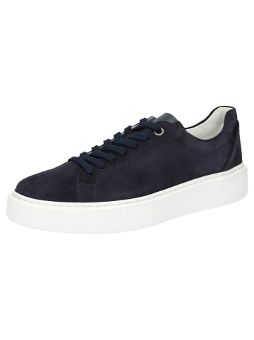 Sioux Sneaker Tils sneaker 003 in dunkelblau