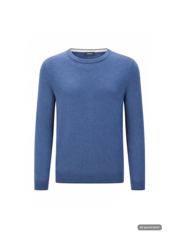 Gardeur Pullover in Blau