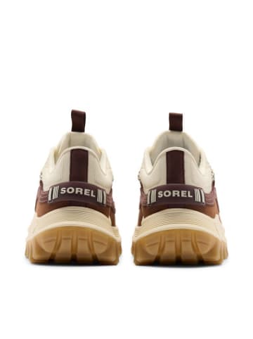 Sorel Sneakers Callsign in Dunkel