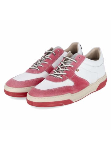 Floris van Bommel Low Sneaker DE DUNKER in Rot