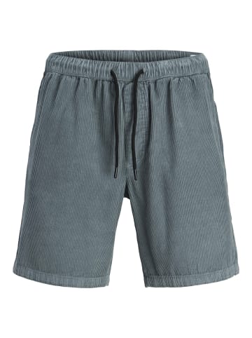 Jack & Jones Shorts in Goblin Blue