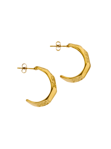 IZIA Women Earrings in Gold