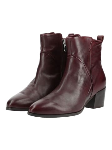 B.Z. MODA by EVERYBODY Stiefelette HAIDEE in Weinrot