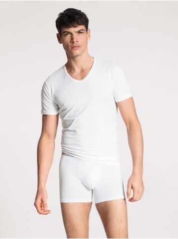 Calida New Boxer in weiss