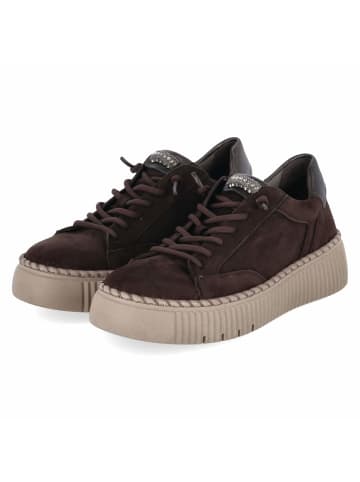 Gabor Low Sneaker in braun