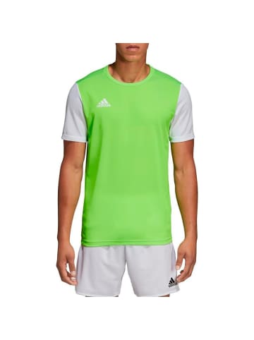 adidas Tshirt in 0-Grün/Weiß