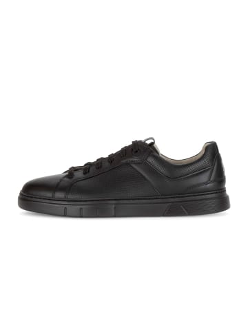 Gabor Sneaker low in schwarz