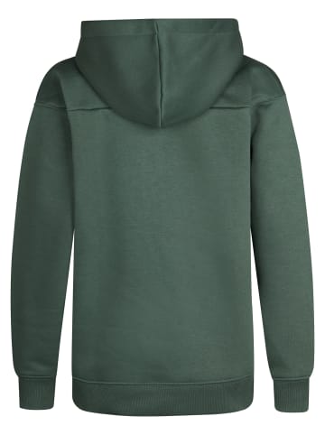 Petrol Industries Hoodie mit Reißverschluss Redwood in Grün