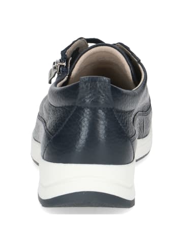 Caprice Schnürschuhe in ocean perlato deer