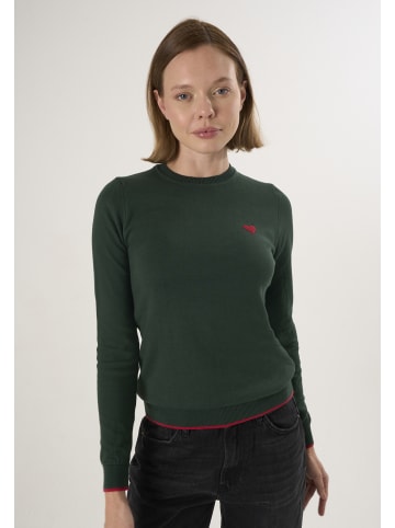 Felix Hardy Pullover in Grün