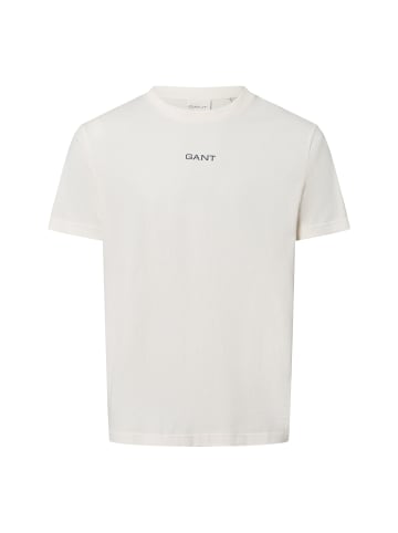 Gant T-Shirt Graphic in ecru