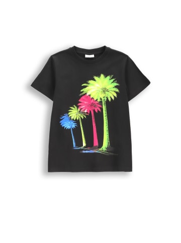 Coccodrillo Baumwoll-T-Shirt mit kurzen Ärmeln in schwarz