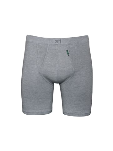 ZD ZERO DEFECTS Boxer "Cyclist" in Grau