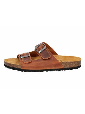 Lico Pantoffel "Alvaro" in Braun
