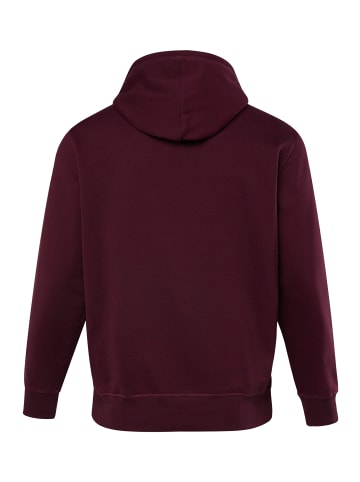 JP1880 Sweatshirt in nougatbraun