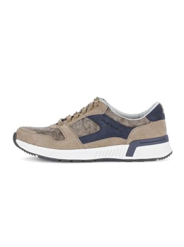 Gabor Sneaker low in beige