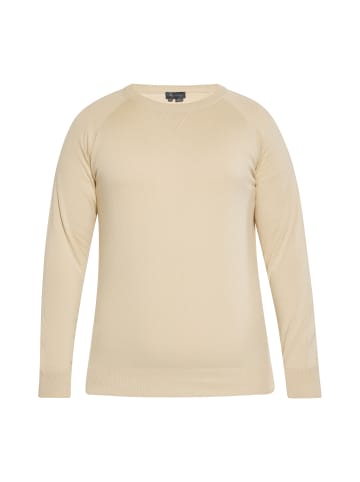 boline Pullover in BEIGE