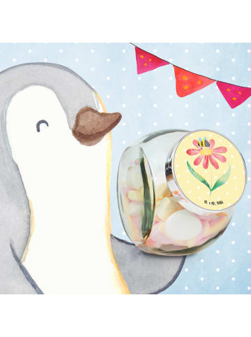 Mr. & Mrs. Panda Glasdose Hummel Blume ohne Spruch in Gelb Pastell