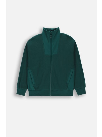 Coccodrillo Sweatshirt mit Reißverschluss in grün