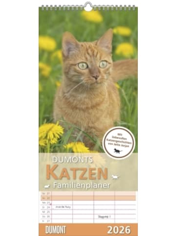 DuMont Kalenderverlag Kalender - DUMONTS - Katzen Kalender 2026 - Familienplaner 20x45 cm - mit liebe
