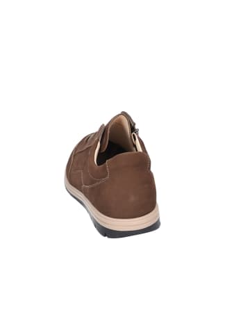 Finn Comfort Schnürschuh OSORNO in chestnut