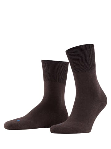 Falke Socken 1er Pack in Dunkelbraun