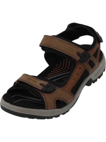 Ecco Klassische Sandalen in Espresso/Cocoa Brown