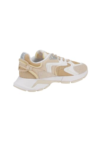 Lacoste Sneaker low Neo in Mehrfarbig