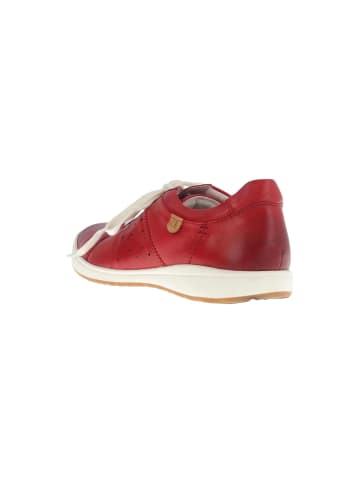 Josef Seibel Sneaker  in Rot