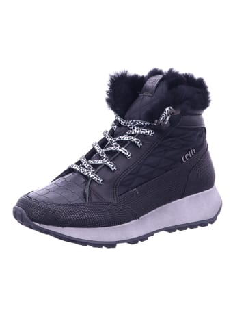 Cetti Schnürstiefelette in schwarz