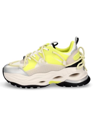 Buffalo Sneaker in creme limette