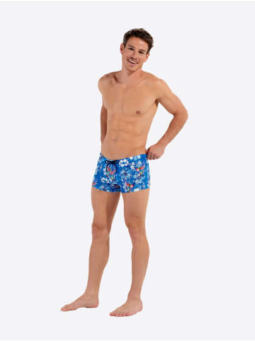 HOM Badehose Swim Shorts Colibris in blue print